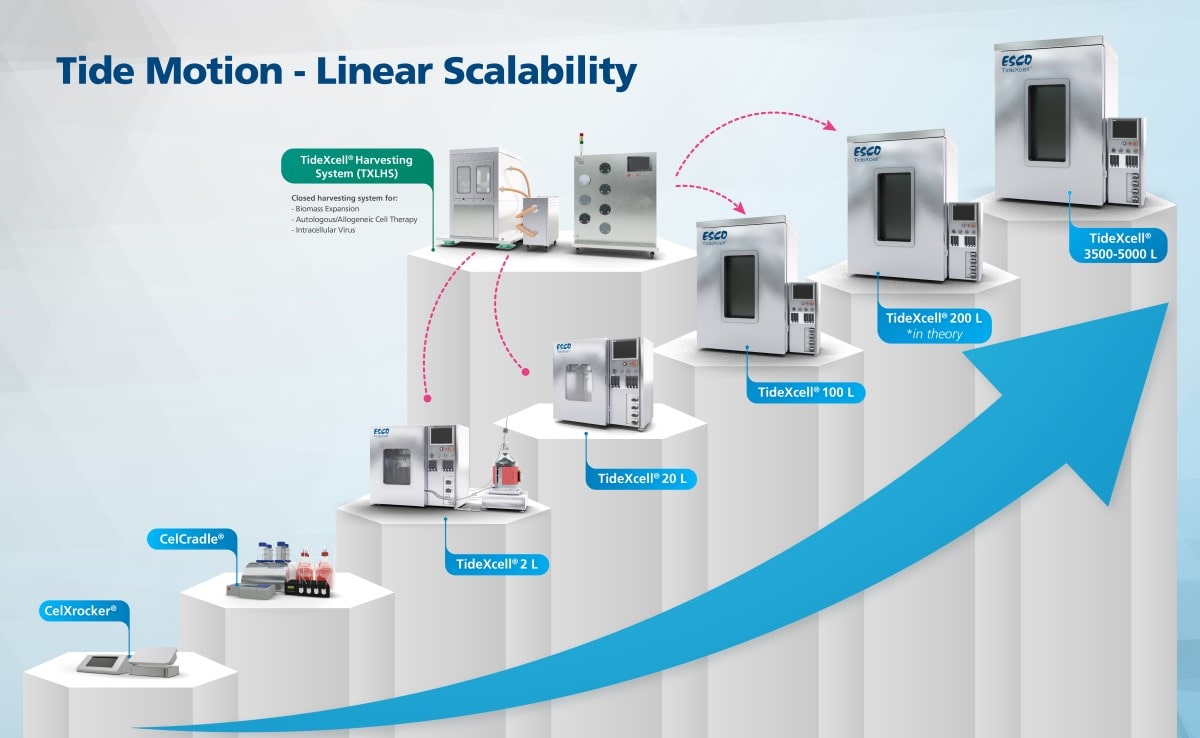 Tide Motion Linear Scalability